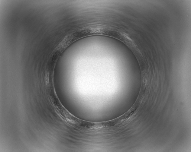 X0000053120213200508081300