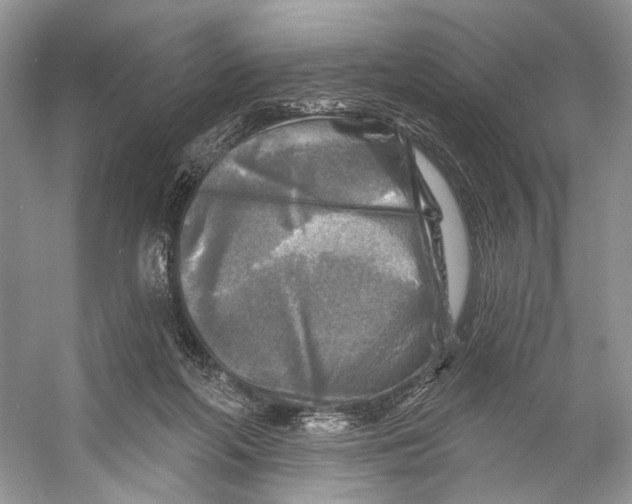 X0000053120214200508081300