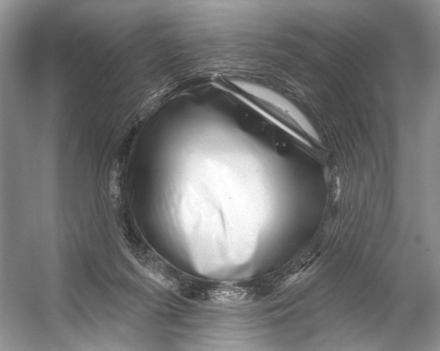 X0000053120215200508081300