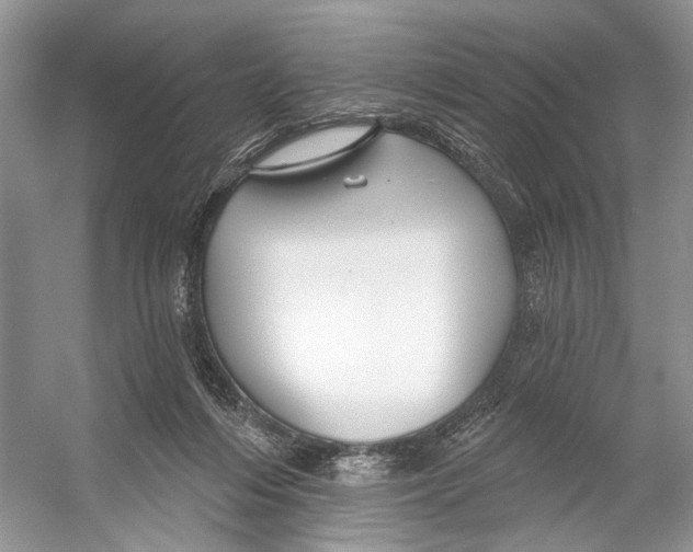 X0000053120216200508081300