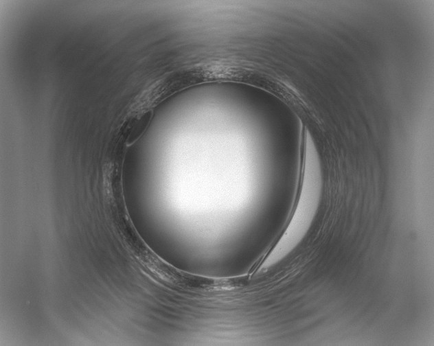 X0000053120217200508081300