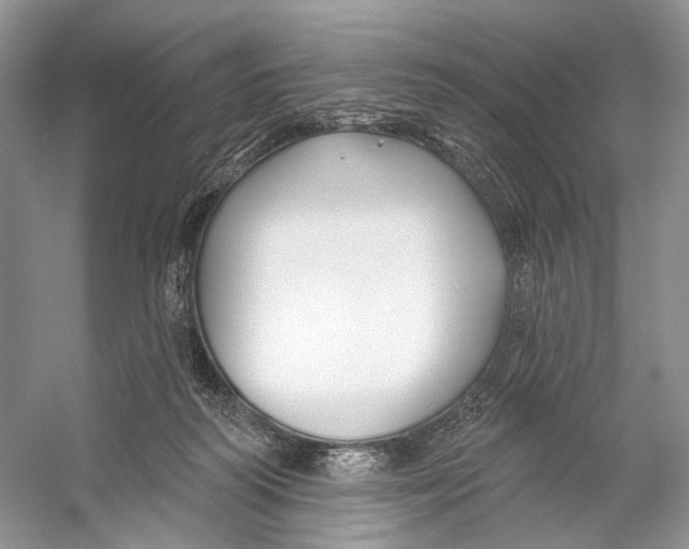 X0000053120218200508081300