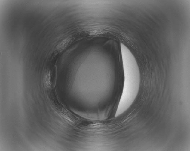 X0000053120219200508081300