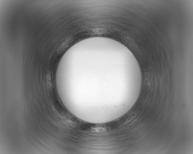 X0000053120220200508081300