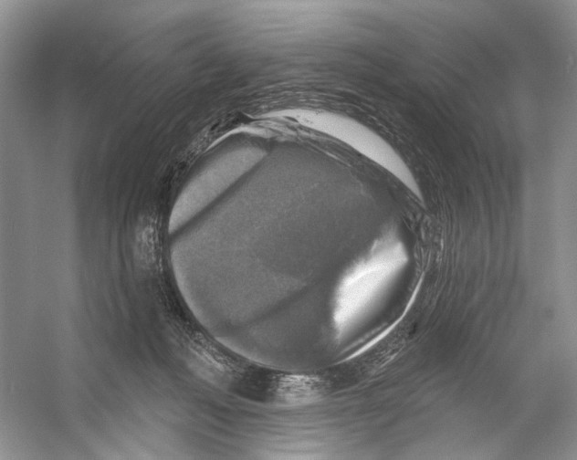 X0000053120222200508081300