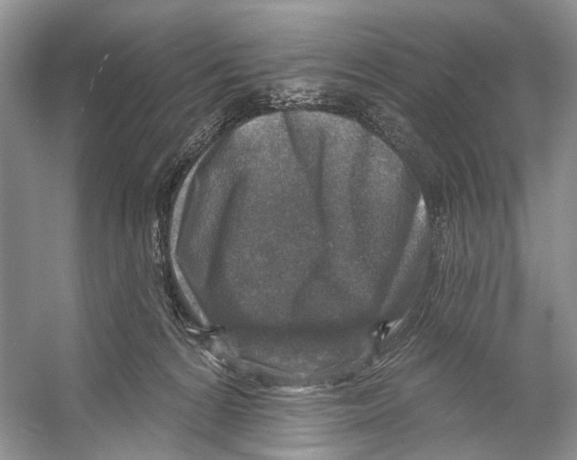 X0000053120224200508081300