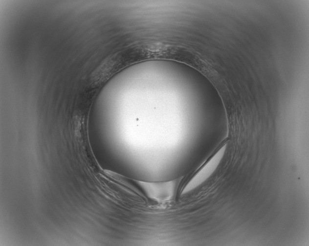 X0000053120225200508081300