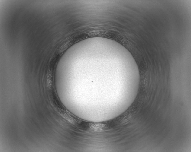 X0000053120226200508081300