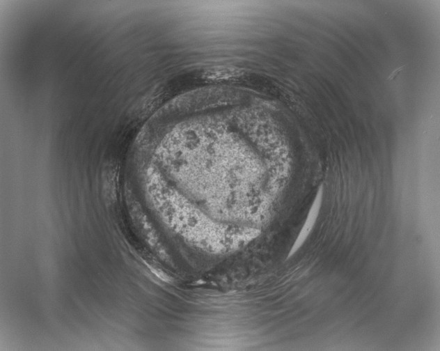 X0000053120227200508081300