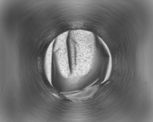 X0000053120228200508081300