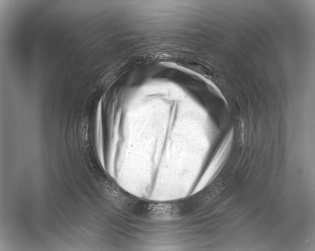 X0000053120230200508081300