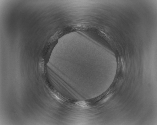 X0000053120231200508081300