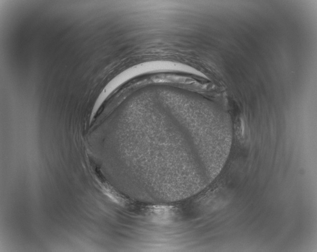 X0000053120233200508081300