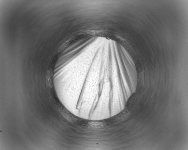 X0000053120234200508081300