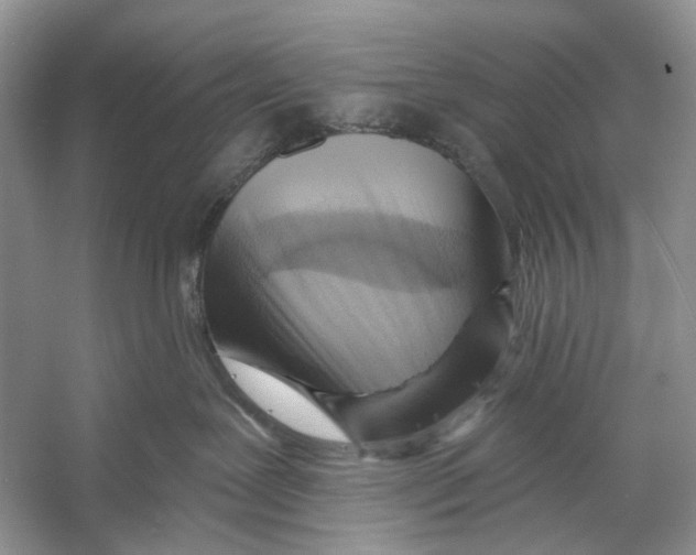 X0000053120239200508081300