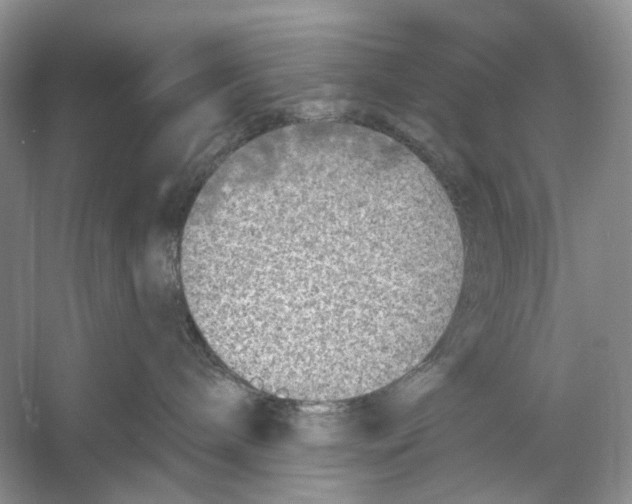 X0000053120240200508081300