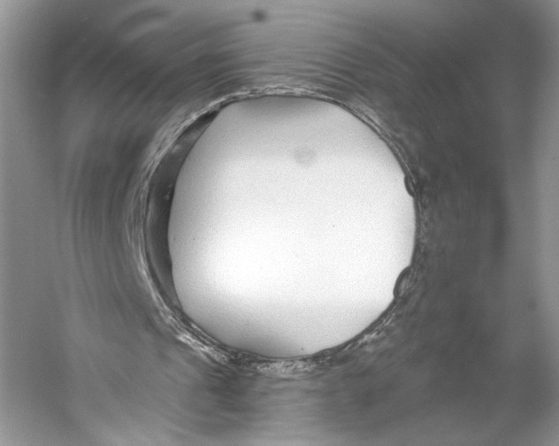 X0000053120241200508081259