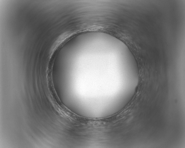 X0000053120242200508081259