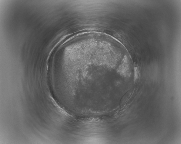 X0000053120243200508081259