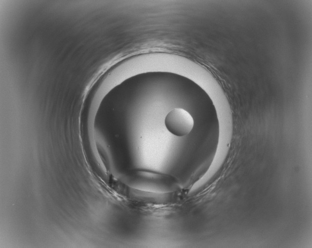 X0000053120244200508081259