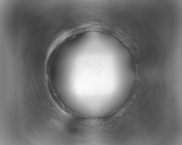 X0000053120245200508081259