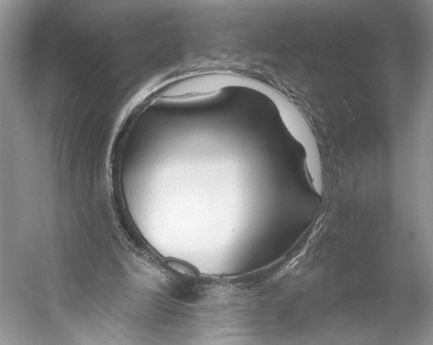 X0000053120246200508081259