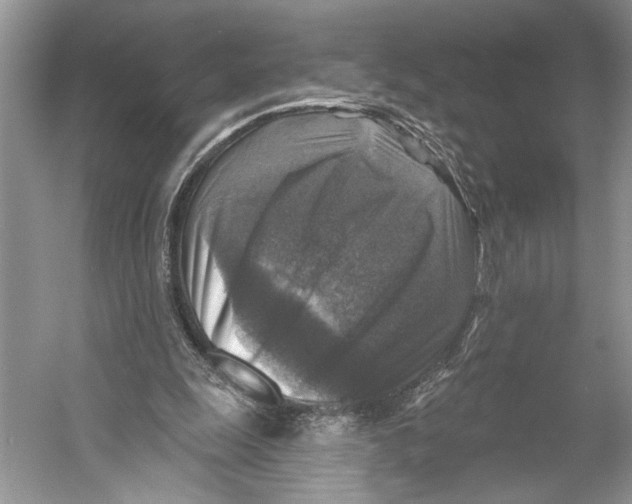 X0000053120247200508081259