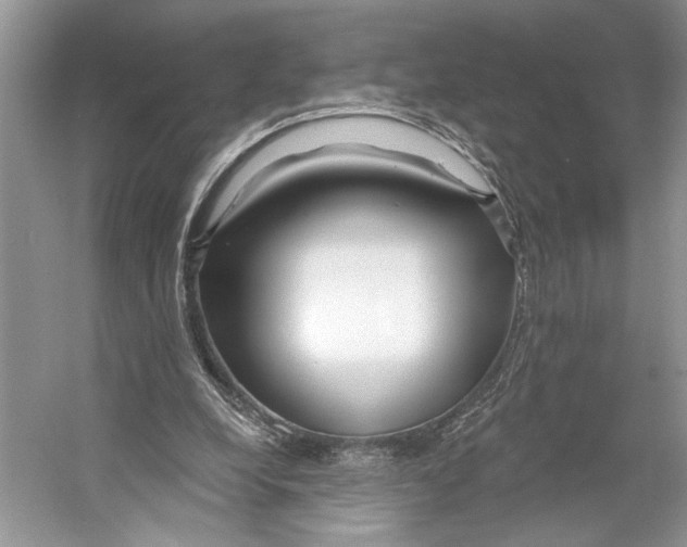 X0000053120248200508081259