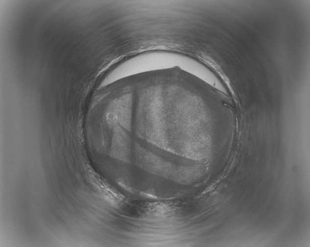 X0000053120249200508081259