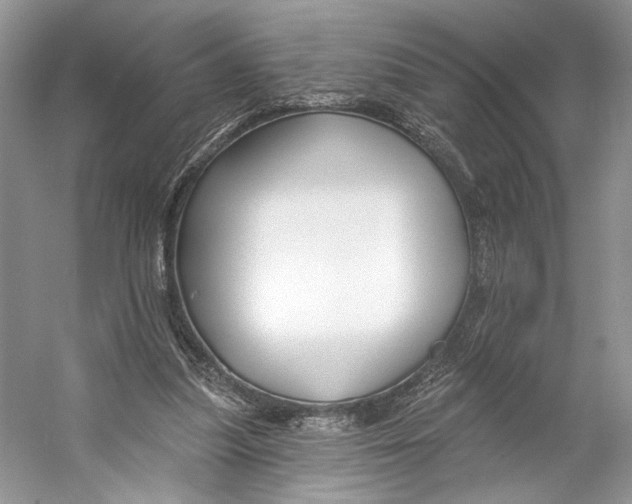 X0000053120251200508081259