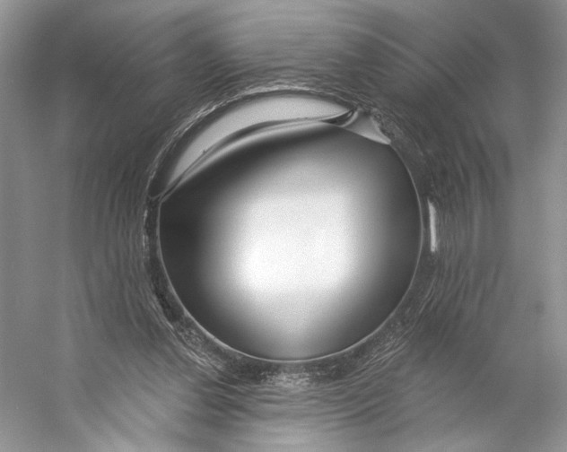 X0000053120252200508081259