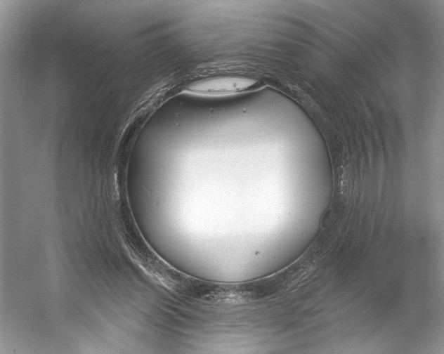 X0000053120254200508081259