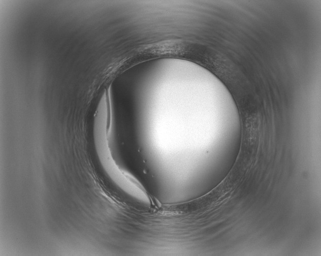 X0000053120255200508081259