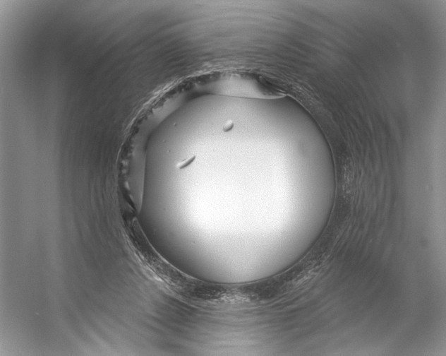 X0000053120256200508081259