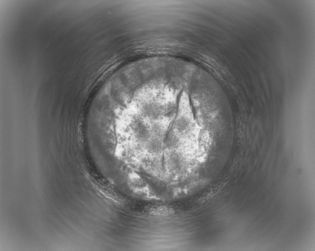 X0000053120258200508081259