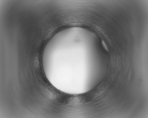 X0000053120259200508081259