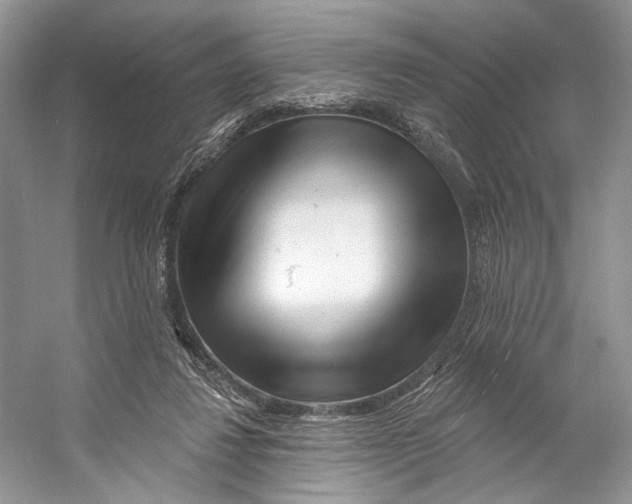 X0000053120260200508081259