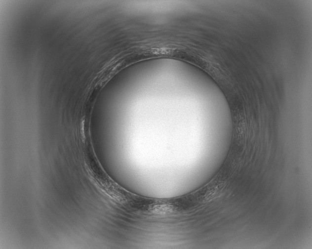 X0000053120262200508081259