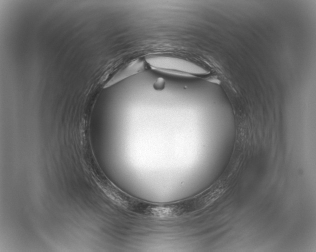 X0000053120265200508081259