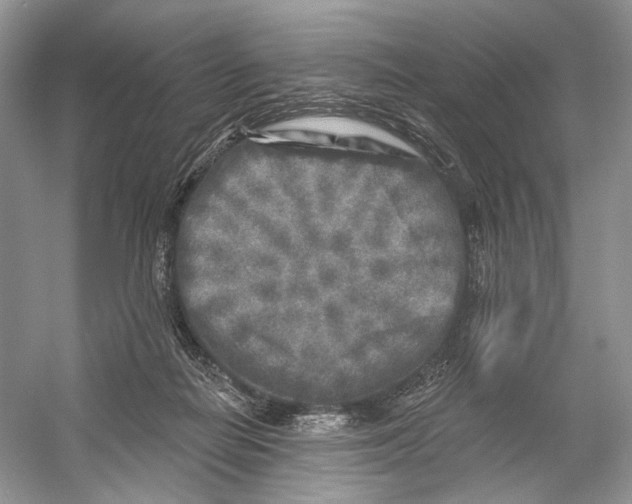 X0000053120266200508081259