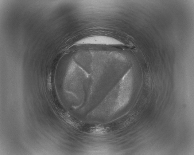 X0000053120267200508081259