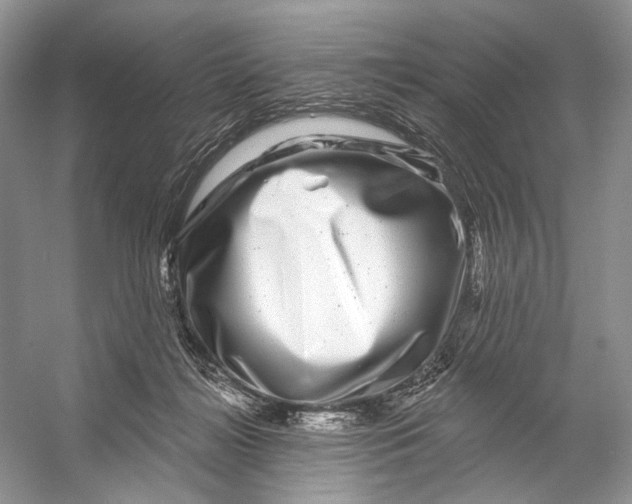 X0000053120268200508081259