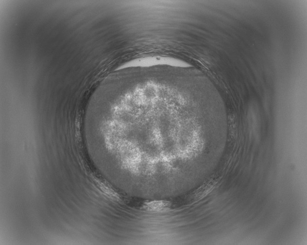 X0000053120269200508081259