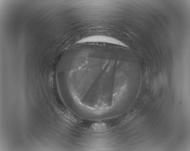 X0000053120271200508081259