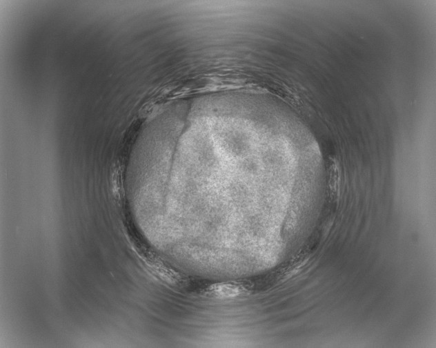 X0000053120272200508081259