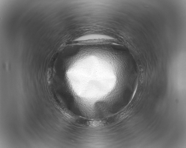 X0000053120273200508081259