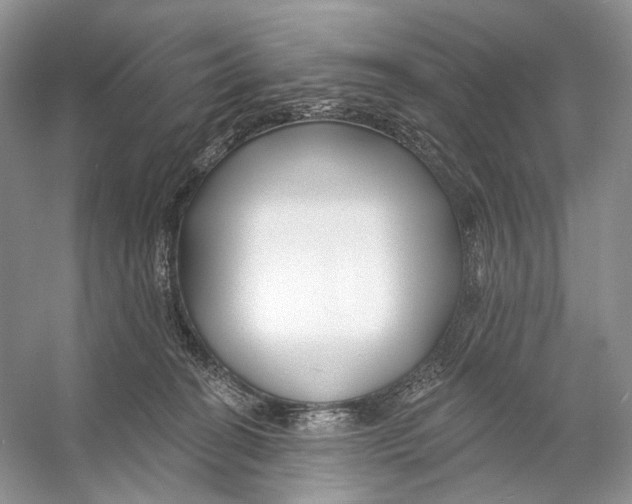 X0000053120274200508081259