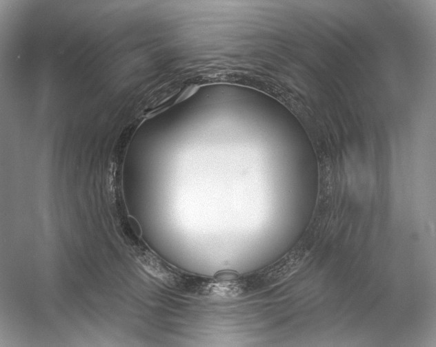 X0000053120275200508081259