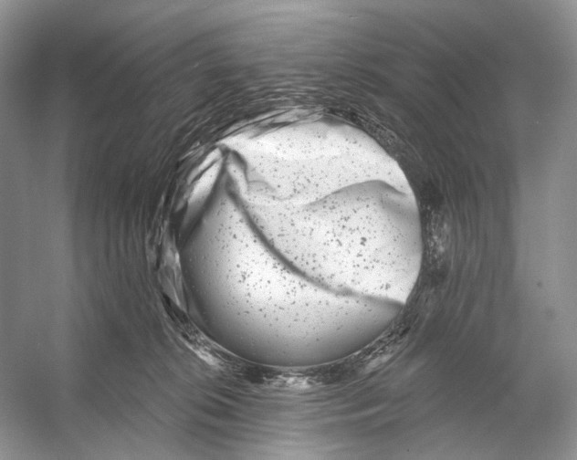 X0000053120276200508081259