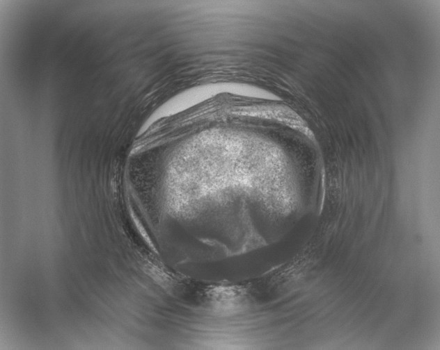 X0000053120277200508081259